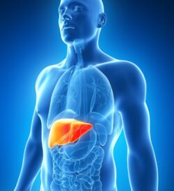 Liver Health